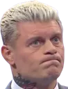 CodySigh