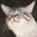 boogie_concern