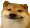 Doge_Smile