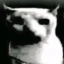 kill_me