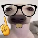 Vz_NerdDog