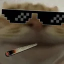 FW_CatThug Discord Emoji