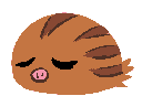 swinubdance