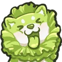Cabbagedog