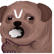lockjofreezing Discord emoji