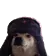 ussr_comrade_dog
