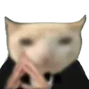 devious_cat devious_cat