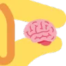 FW_Small_Brain