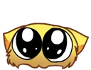 AJ_Aww