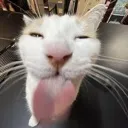 mlem
