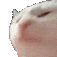 catJamReversed