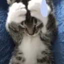 68f699c0874628965a949d907509eb9b