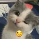 49e0755b7ce863d90bc1c4ead0ef3e6d