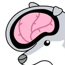 bigbrain