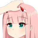 5wexxpat