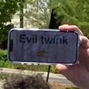 eviltwink