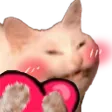 yoshicatlove