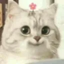 demonicbutcute