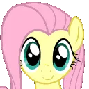 FlutterDanceVibe