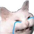 sehsieCattoCry sehsieCattoCry