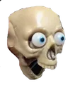 shid_skull