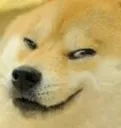 dogesmirk