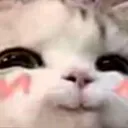 _CuteBilli _CuteBilli