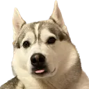 bubba