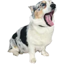 Ever_Scream