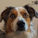 1000_Yard_Stare