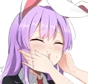 ReisenSquish