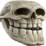 skoll