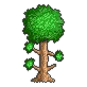 1421427109_treeterrariatreelogop Discord Emoji