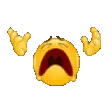 Whyyyyy