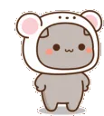 Hatori_cat29