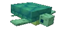 turtlevibe