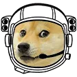 space_doge Discord Emoji