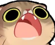 scream