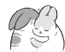 hug_bunbun Discord Emoji