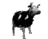 ussr_polish_cow