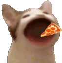 zpopcat_pizza Discord Emoji