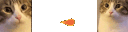 catchompfireball Discord emoji