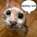 applaysos
