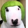 waltermelon