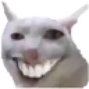 sam