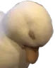 itsover