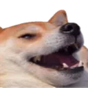 DoggoLaugh DoggoLaugh