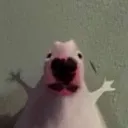 K_IAMTHEHUNTER