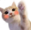 Catwave Catwave Discord Emoji