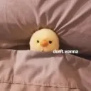 DuckDoesntWantTo DuckDoesntWantTo